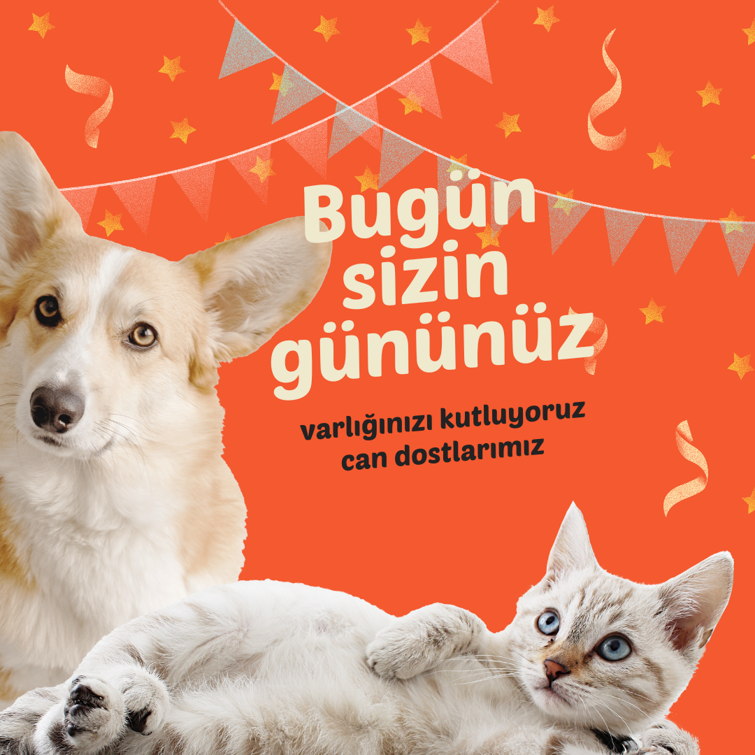 Image-HasTech